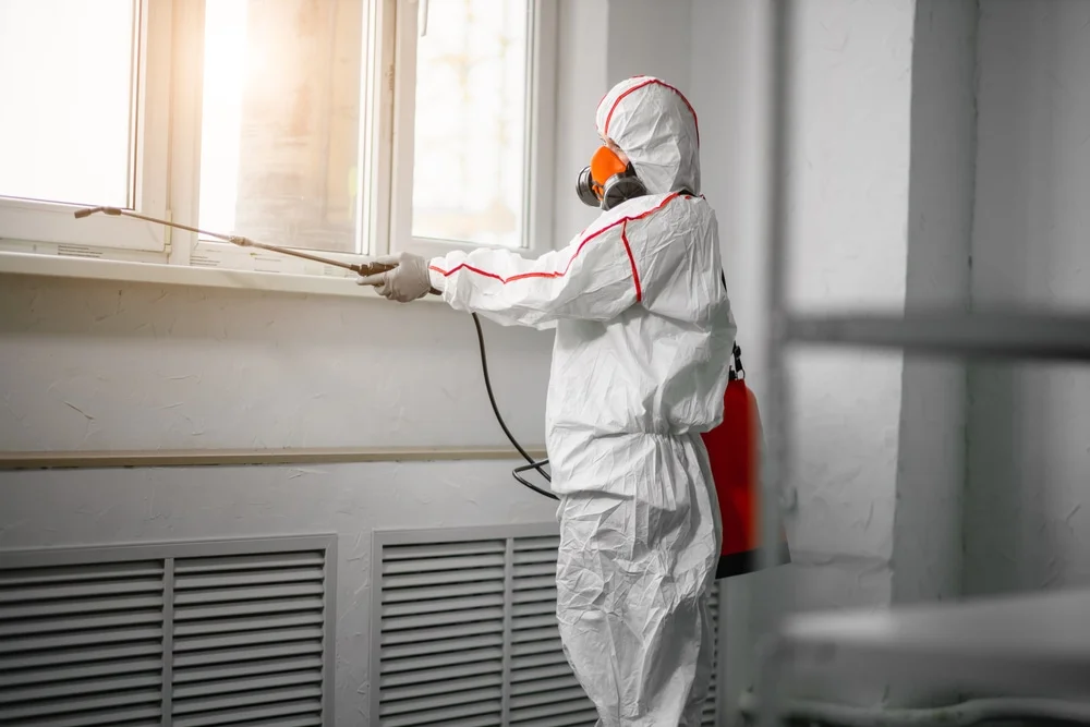 Professional mold remediation services in Codorus, PA